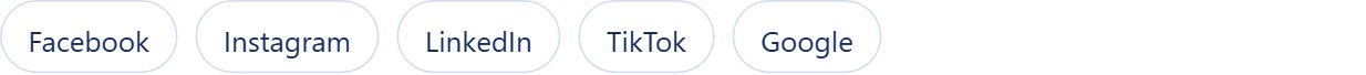 Facebook, Instagram, LinkedIn, TikTok and Google